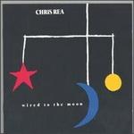 Chris Rea - I Don't Know What It Is But I Love It