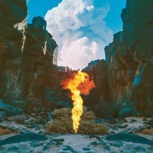 Bonobo — Migration