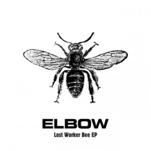 Elbow - Lost Worker Bee