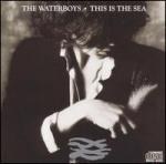 The Waterboys — This Is the Sea (1985)