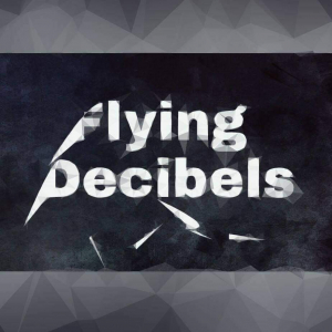 Flying Decibels - The Road