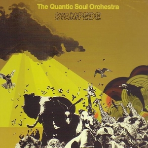 Quantic Soul Orchestra - She Said What?