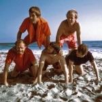 Beach Boys - California dreaming